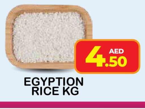 available at فريش سبايك سوبرماركت in الإمارات العربية المتحدة , الامارات - دبي