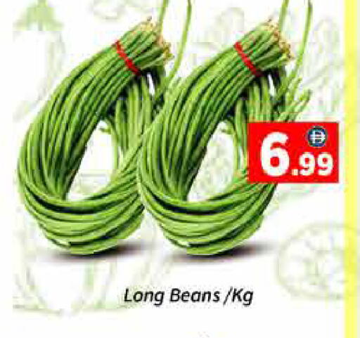 available at ايكو مول & ايكو هايبرماركت in الإمارات العربية المتحدة , الامارات - دبي