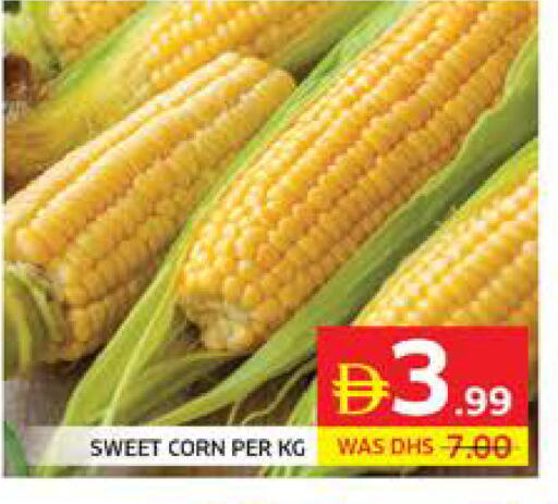 available at Seven Emirates Supermarket in UAE - Abu Dhabi