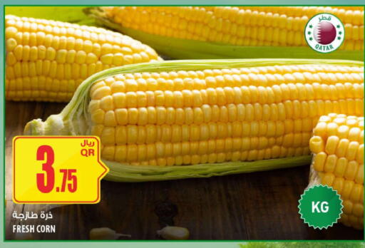 from Qatar available at شركة الميرة للمواد الاستهلاكية in قطر - الوكرة