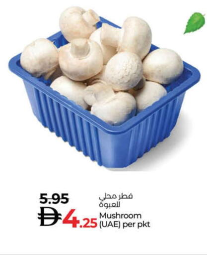Mushroom available at Lulu Hypermarket in UAE - Umm al Quwain