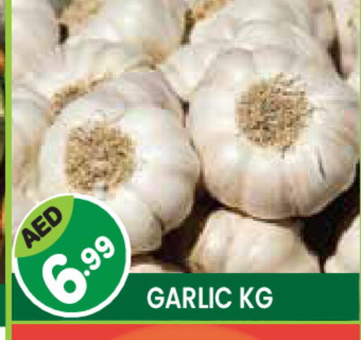 Garlic available at Baniyas Spike  in UAE - Ras al Khaimah