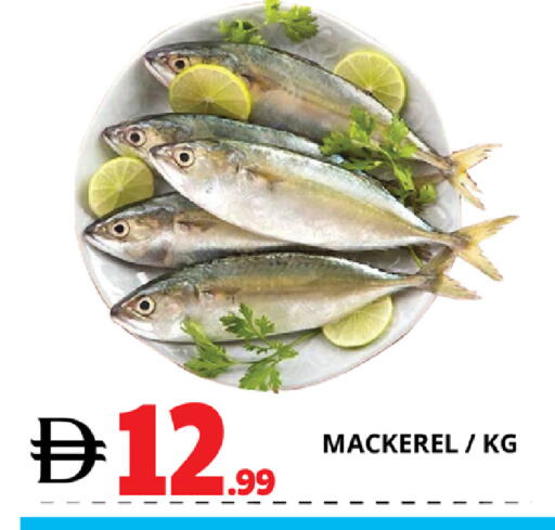 available at EXPRESS AL MADEENA HYPERMARKET LLC in UAE - Abu Dhabi