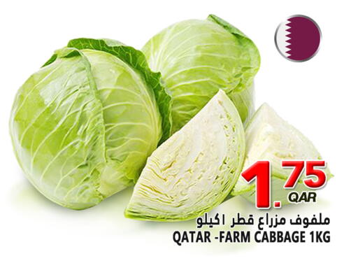 Cabbage from Qatar available at قصر الأغذية هايبرماركت in قطر - الخور