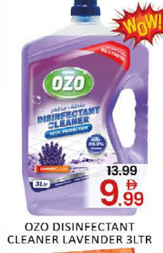 Mango available at مانجو هايبرماركت in الإمارات العربية المتحدة , الامارات - دبي