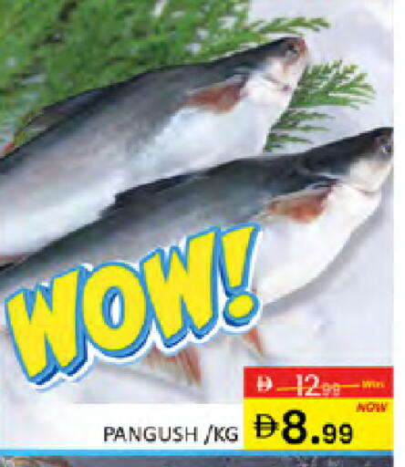 available at المدينة in الإمارات العربية المتحدة , الامارات - دبي