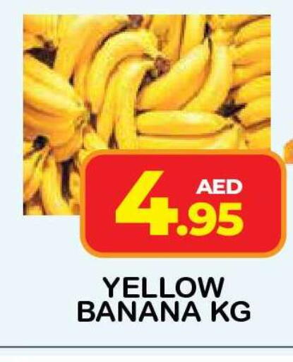 Banana available at فريش سبايك سوبرماركت in الإمارات العربية المتحدة , الامارات - دبي