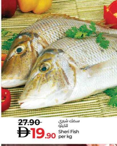 available at Lulu Hypermarket in UAE - Umm al Quwain