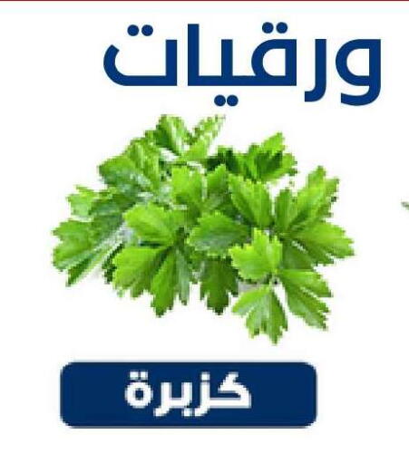 available at Nasim Almouj in KSA, Saudi Arabia, Saudi - Riyadh