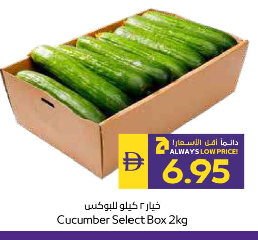 Cucumber available at أدكووب in الإمارات العربية المتحدة , الامارات - ٱلْعَيْن‎