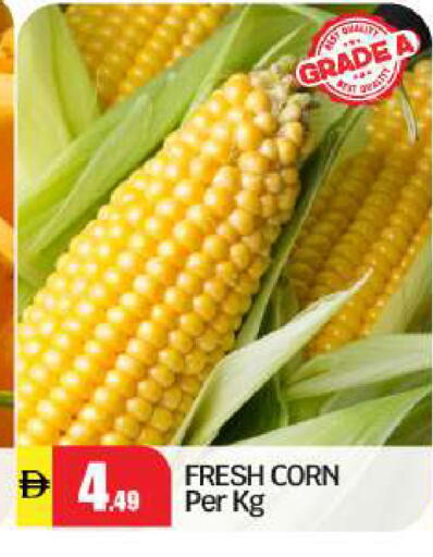 available at بيج مارت in الإمارات العربية المتحدة , الامارات - أبو ظبي