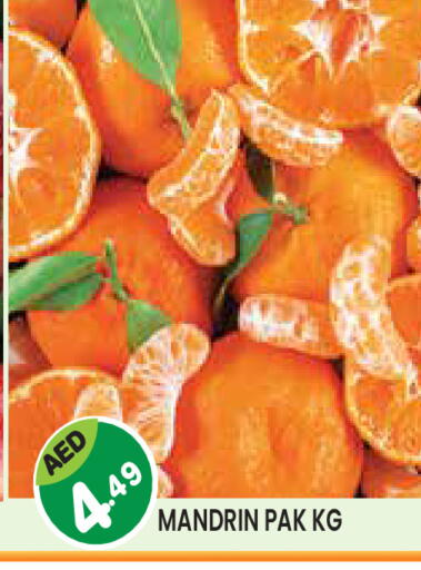 available at سنابل بني ياس in الإمارات العربية المتحدة , الامارات - أم القيوين‎