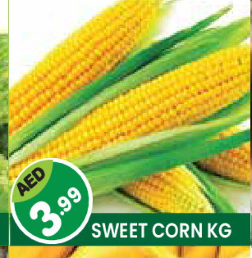 available at Baniyas Spike  in UAE - Ras al Khaimah