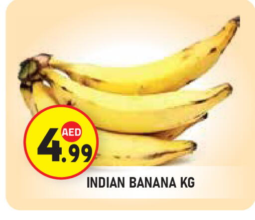 Banana from India available at Baniyas Spike  in UAE - Al Ain