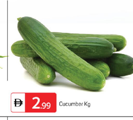 Cucumber available at سوق طلال in الإمارات العربية المتحدة , الامارات - الشارقة / عجمان