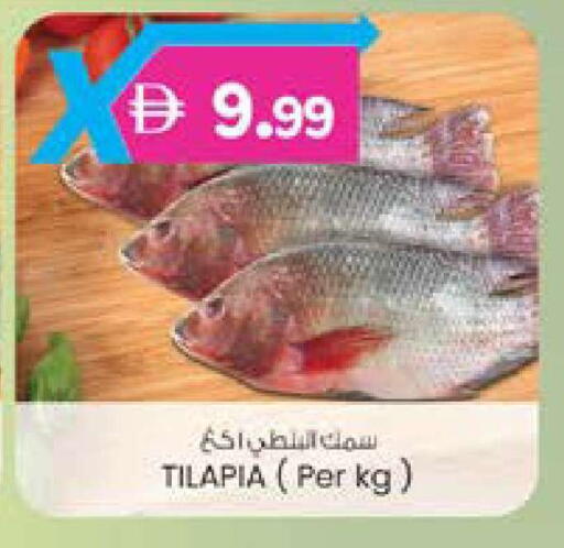 available at صفا اكسبريس سوبرماركت in الإمارات العربية المتحدة , الامارات - أبو ظبي