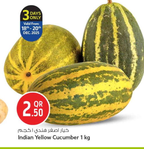 Cucumber from India available at سفاري هايبر ماركت in قطر - الخور