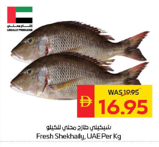 available at سبار هايبرماركت in الإمارات العربية المتحدة , الامارات - ٱلْعَيْن‎