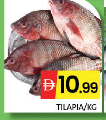 Mango available at مانجو هايبرماركت in الإمارات العربية المتحدة , الامارات - دبي