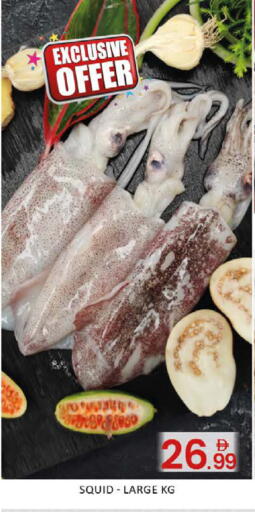 Mango available at مانجو هايبرماركت in الإمارات العربية المتحدة , الامارات - دبي