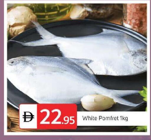 available at سوق طلال in الإمارات العربية المتحدة , الامارات - الشارقة / عجمان