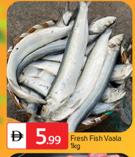 available at سوق طلال in الإمارات العربية المتحدة , الامارات - دبي