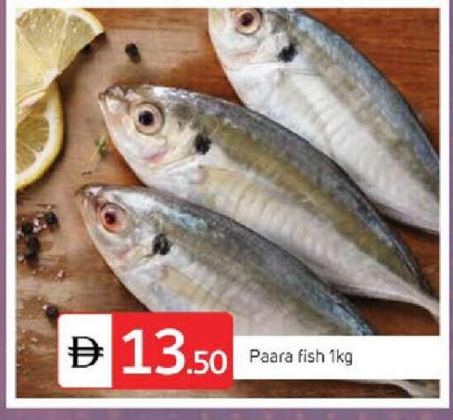 available at سوق طلال in الإمارات العربية المتحدة , الامارات - الشارقة / عجمان