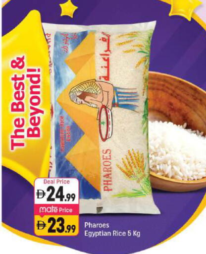 available at شكلان ماركت in الإمارات العربية المتحدة , الامارات - دبي