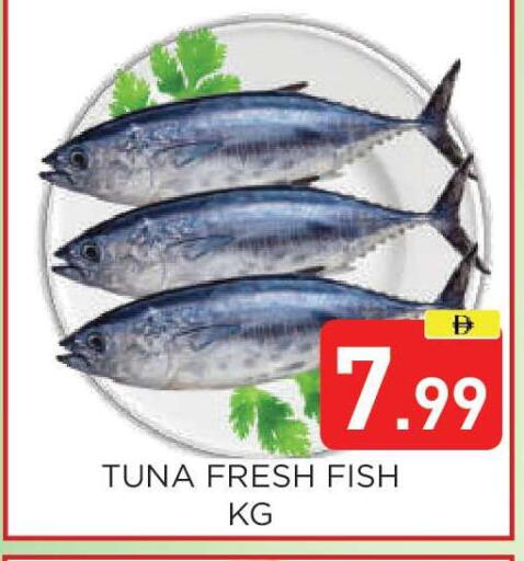 available at عين المدينة هايبرماركت in الإمارات العربية المتحدة , الامارات - الشارقة / عجمان