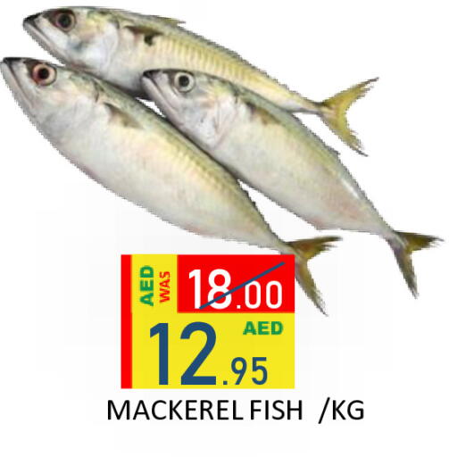 available at رويال جلف هايبرماركت in الإمارات العربية المتحدة , الامارات - أبو ظبي