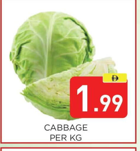 Cabbage available at عين المدينة هايبرماركت in الإمارات العربية المتحدة , الامارات - الشارقة / عجمان