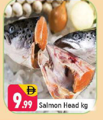 available at شكلان ماركت in الإمارات العربية المتحدة , الامارات - دبي