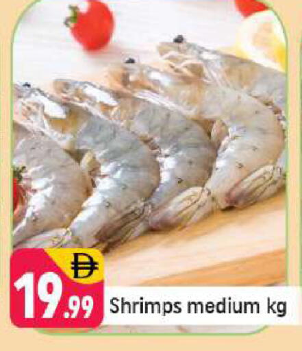 available at شكلان ماركت in الإمارات العربية المتحدة , الامارات - دبي