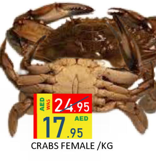 available at رويال جلف هايبرماركت in الإمارات العربية المتحدة , الامارات - أبو ظبي