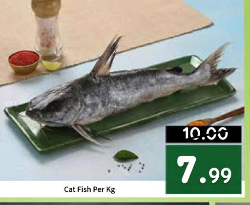 available at ROYAL GULF HYPERMARKET LLC in UAE - Abu Dhabi