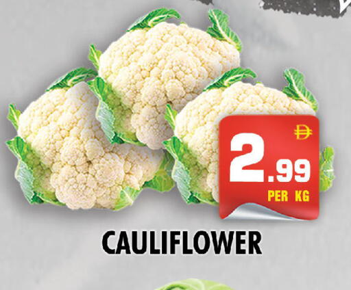 Cauliflower available at نايت تو نايت in الإمارات العربية المتحدة , الامارات - الشارقة / عجمان