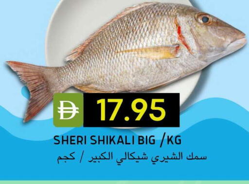 available at سيليكت ماركت in الإمارات العربية المتحدة , الامارات - أبو ظبي