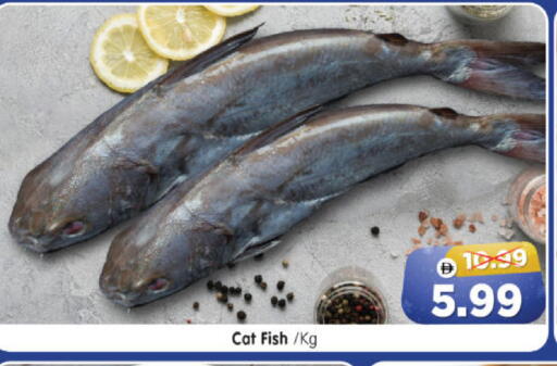 available at هايبر ماركت المدينة in الإمارات العربية المتحدة , الامارات - أبو ظبي