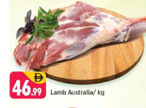 available at شكلان ماركت in الإمارات العربية المتحدة , الامارات - دبي