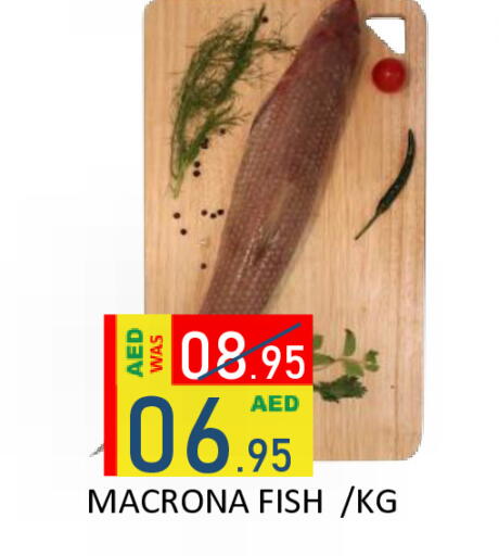 available at رويال جلف هايبرماركت in الإمارات العربية المتحدة , الامارات - أبو ظبي