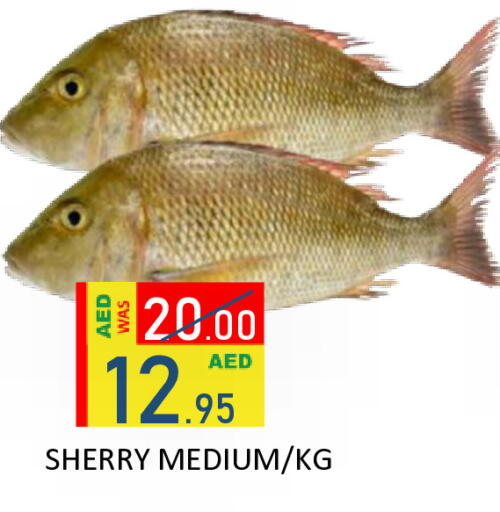 available at رويال جلف هايبرماركت in الإمارات العربية المتحدة , الامارات - أبو ظبي