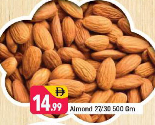 available at شكلان ماركت in الإمارات العربية المتحدة , الامارات - دبي