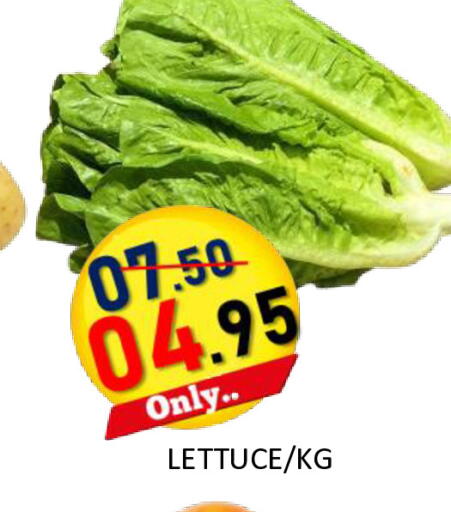 Lettuce available at رويال جلف هايبرماركت in الإمارات العربية المتحدة , الامارات - أبو ظبي