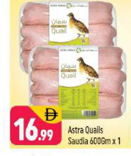 available at شكلان ماركت in الإمارات العربية المتحدة , الامارات - دبي