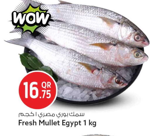 available at سفاري هايبر ماركت in قطر - الخور