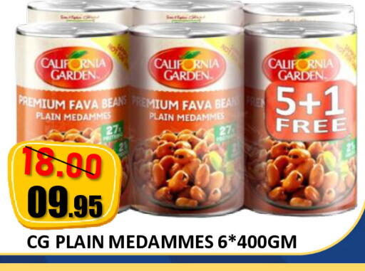 available at رويال جلف هايبرماركت in الإمارات العربية المتحدة , الامارات - أبو ظبي