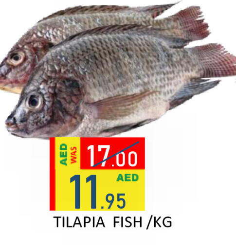 available at رويال جلف هايبرماركت in الإمارات العربية المتحدة , الامارات - أبو ظبي