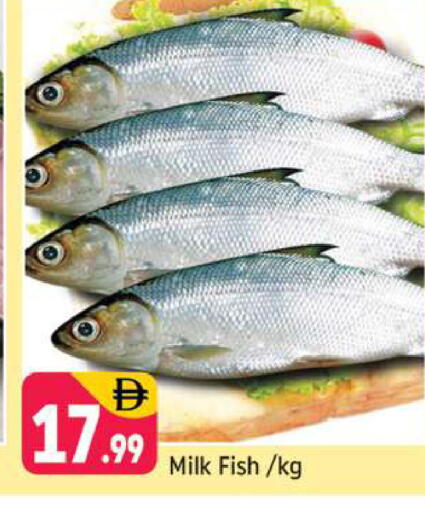 available at Shaklan  in UAE - Dubai