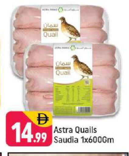 available at شكلان ماركت in الإمارات العربية المتحدة , الامارات - دبي