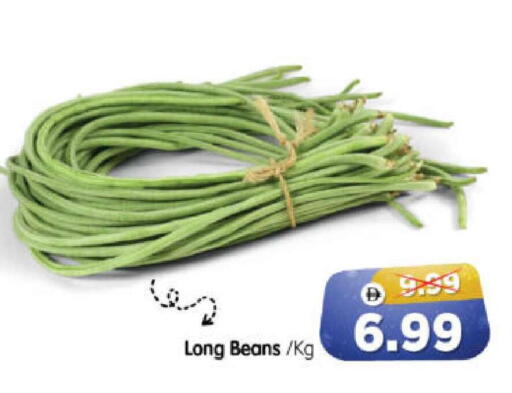 available at هايبر ماركت المدينة in الإمارات العربية المتحدة , الامارات - أبو ظبي